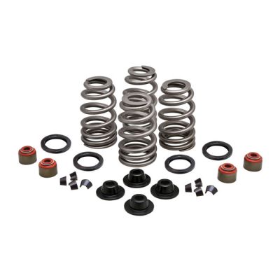 524625 - KIBBLEWHITE Kpmi, beehive valve spring kit .630 lift