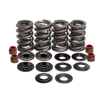 524645 - KIBBLEWHITE KPMI, valve spring kit. .630