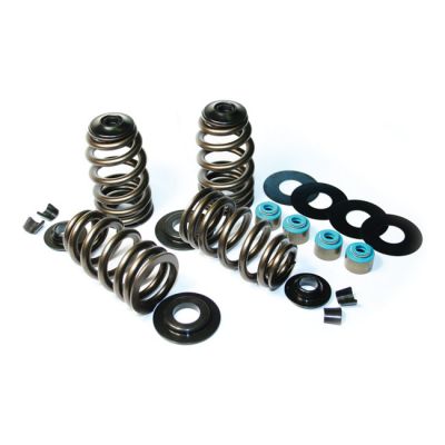566032 - Feuling, Econo Beehive valve spring kit. .585