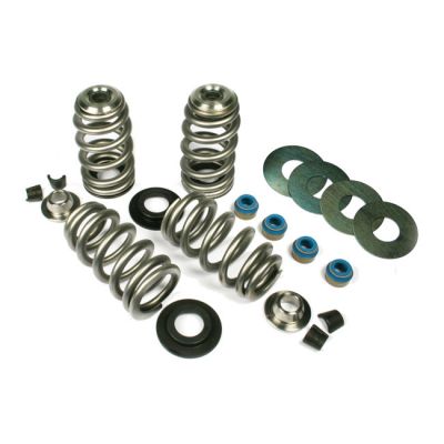 566035 - Feuling, Endurance Beehive valve spring kit. .650