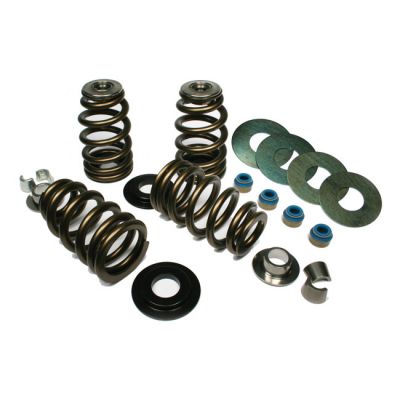 566037 - Feuling, High Load Beehive valve spring kit. .750