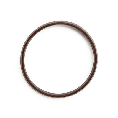 568490 - Cometic, manifold intake seal. Front/rear. Viton