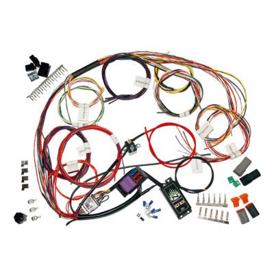 578671 - NAMZ, complete custom bike main wiring harness