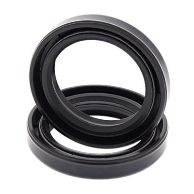 579760 - All Balls fork oil seal kit
