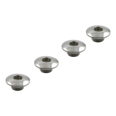 900873 - STREETHOGS Street Hogs, rocker shaft end plug set. OEM style. Stainles...