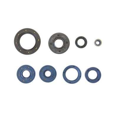 907804 - Athena, engine oil seal kit