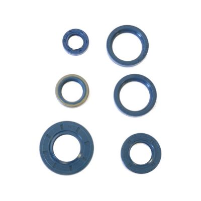 907808 - Athena, engine oil seal kit
