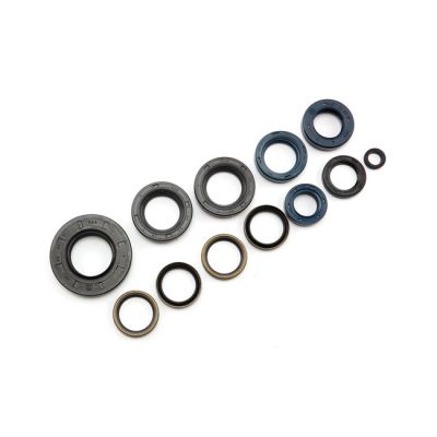 907811 - Athena, engine oil seal kit