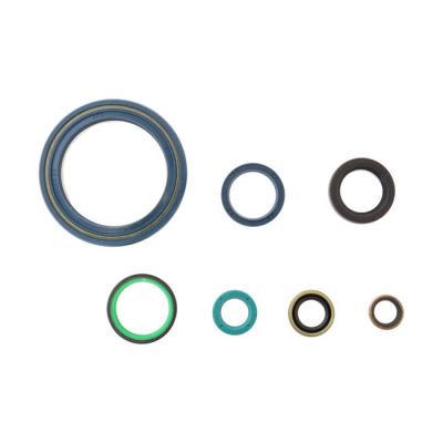 907818 - Athena, engine oil seal kit