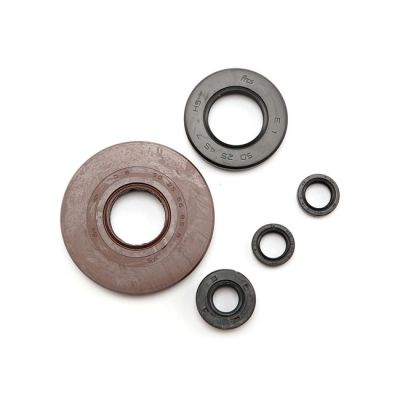 907831 - Athena, engine oil seal kit