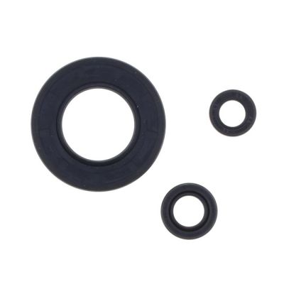 907838 - Athena, engine oil seal kit