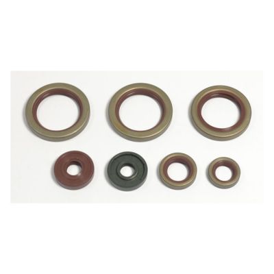 907843 - Athena, engine oil seal kit