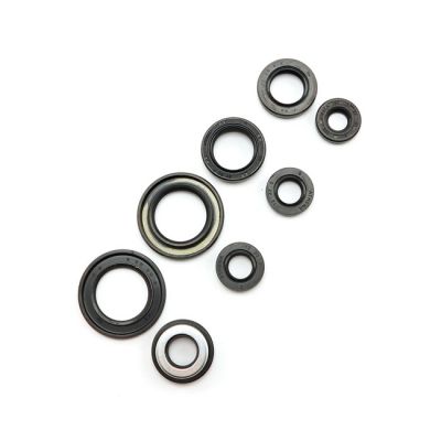 907849 - Athena, engine oil seal kit