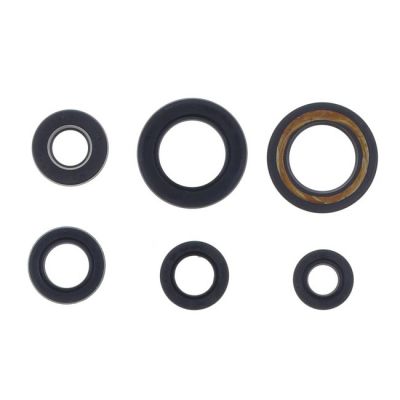 907851 - Athena, engine oil seal kit