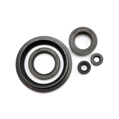 907857 - Athena, engine oil seal kit