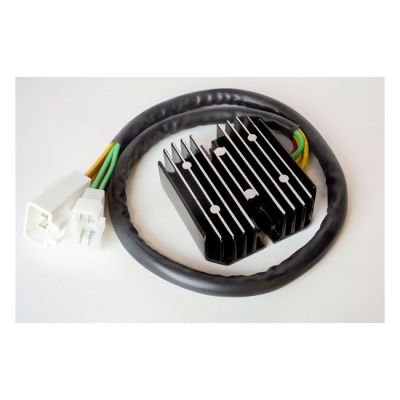 911851 - Ricks Motorsport Electronics Rick's Lithium ion battery compatible rec...