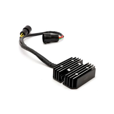 911892 - Ricks Motorsport Electronics Rick's Lithium ion battery compatible rec...