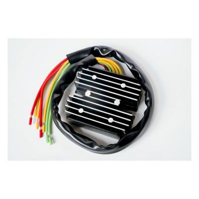 911912 - Ricks Motorsport Electronics Rick's universal Perm. Magnet Lithium Ion...