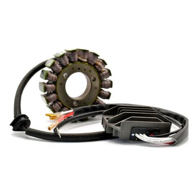 911913 - Ricks Motorsport Electronics Rick's Hot Shot Lithium Ion compatible ch...