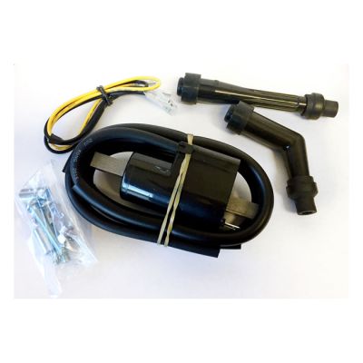 912969 - Ricks Motorsport Electronics Rick's ignition coils