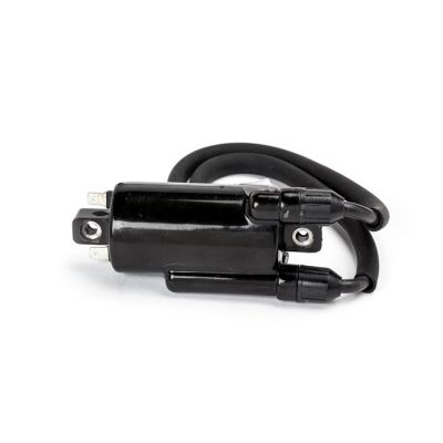 912977 - Ricks Motorsport Electronics Rick's ignition coil