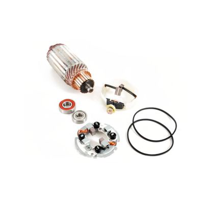 913059 - Ricks Motorsport Electronics Rick's starter motor rebuild kit