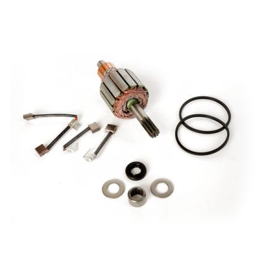 913061 - Ricks Motorsport Electronics Rick's starter motor rebuild kit