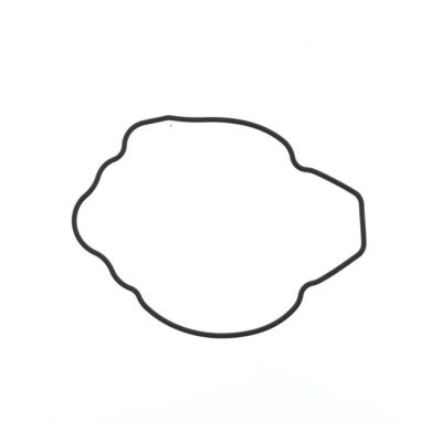 916937 - Athena stator cover gasket