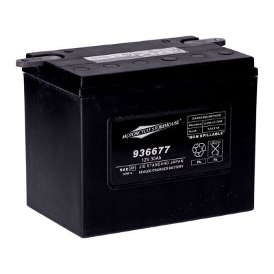 936677 - MCS, standard series - AGM sealed battery. 12v, 30ah. 370cca