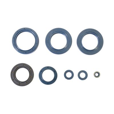 950904 - Athena, engine oil seal kit