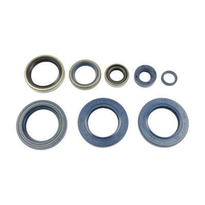 950906 - Athena, engine oil seal kit