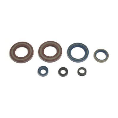 950908 - Athena, engine oil seal kit