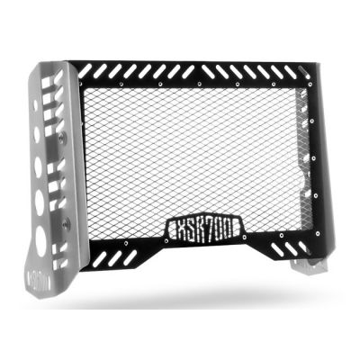 950968 - C-Racer, radiator grill w/side protectors. Black