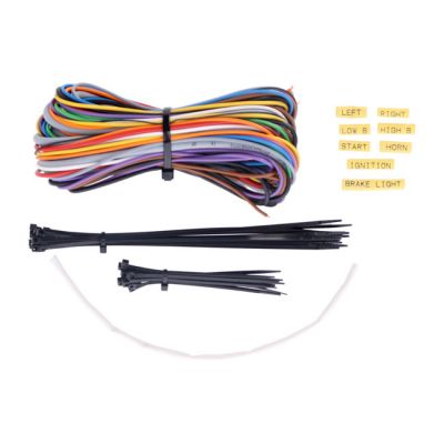 954162 - Axel Joost Elektronik, wiring set for brain box