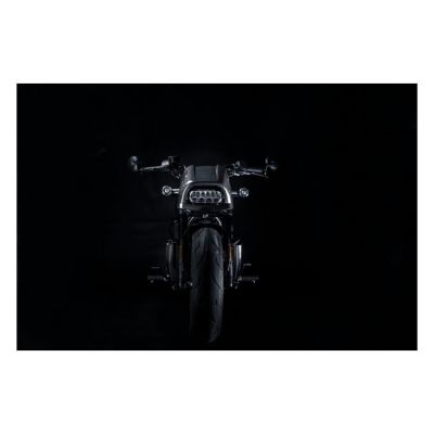 973647 - Zard, carbon headlamp fairing kit