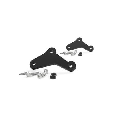 974916 - Zard, Footpeg spacers