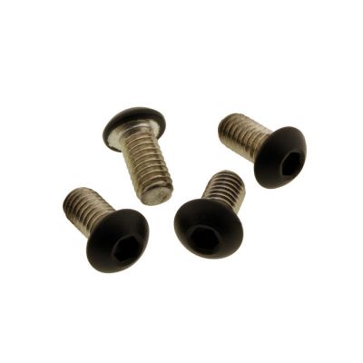 979700 - Screws4Bikes, bolt kit. Rear belt guard