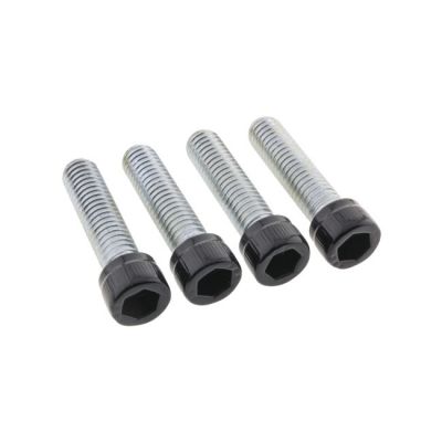 979701 - Screws4Bikes, bolt kit. Foot pegs rider