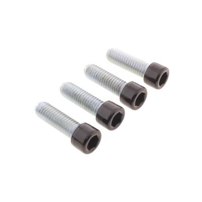 979729 - Screws4Bikes, bolt kit, foot pegs rider