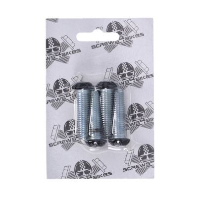 979730 - Screws4Bikes, bolt kit, 4x front fork brackets SH