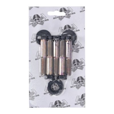 979765 - Screws4bikes, bolt kit, wheel pulley