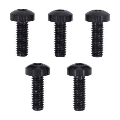 979773 - Screws4bikes, bolt kit, brake rotor discs front (TITAN)