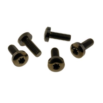 979774 - Screws4bikes, bolt kit, brake rotor discs rear (TITAN)