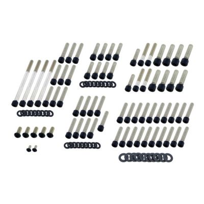 979808 - Screws4bikes, engine bolt kit