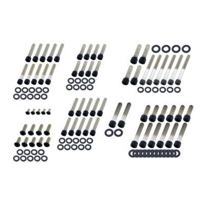 979810 - Screws4bikes, engine bolt kit