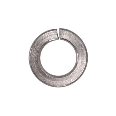 985571 - GARDNER-WESTCOTT Stainless lock washers M12 - 25 pack