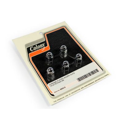 990397 - Colony acorn nuts