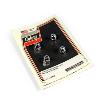 990419 - Colony acorn nuts