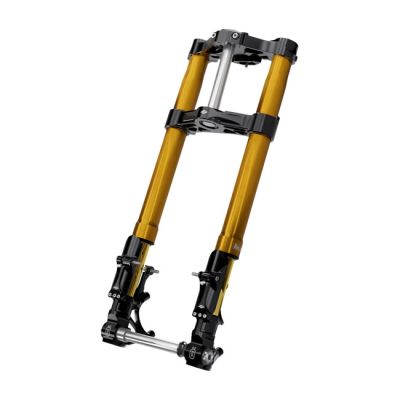 993854 - Kraus, KR8 +2