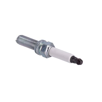 998144 - OEM spark plug